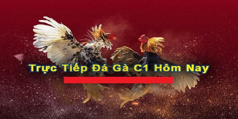 Đá Gà C1 - Giải Thích Khái Niệm Và Luật Chơi