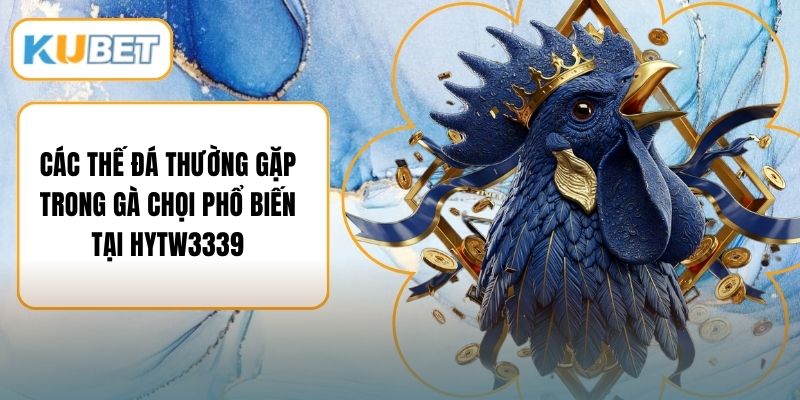 Các Thế Đá Thường Gặp Trong Gà Chọi Phổ Biến Tại HYTW3339