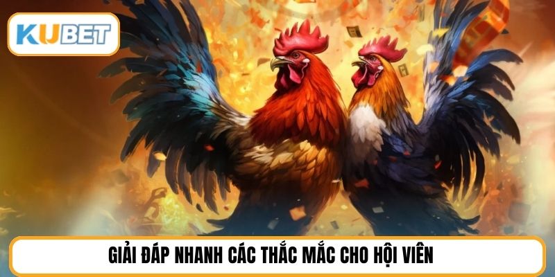 Giải đáp nhanh các thắc mắc cho hội viên 