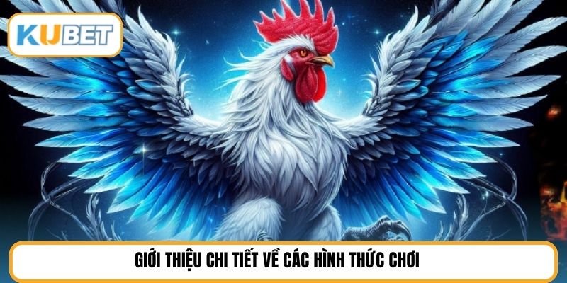 Giới thiệu chi tiết về các hình thức chơi 