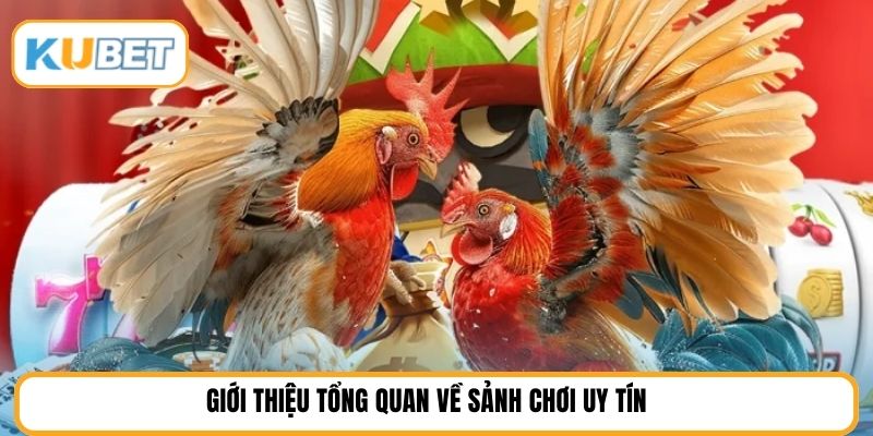 Giới thiệu tổng quan về sảnh chơi uy tín 