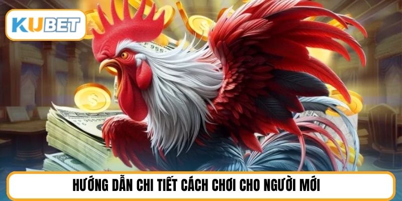 Hướng dẫn chi tiết cách chơi cho người mới 