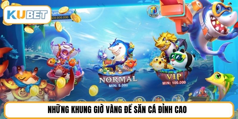Những khung giờ vàng để săn cá đỉnh cao