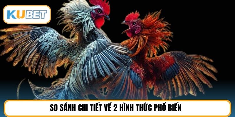 So sánh chi tiết về 2 hình thức phổ biến
