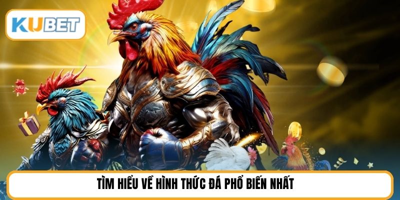Tìm hiểu về hình thức đá phổ biến nhất 