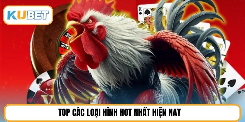 Top các loại hình hot nhất hiện nay 